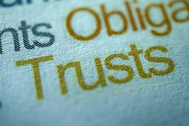 Why Is My Trust So Detailed? The Importance of a Trust in Your Estate Plan